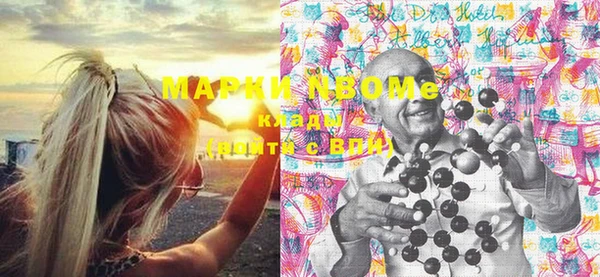 ПСИЛОЦИБИНОВЫЕ ГРИБЫ Михайлов