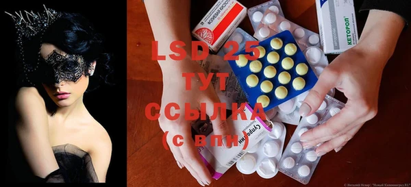 ПСИЛОЦИБИНОВЫЕ ГРИБЫ Михайлов
