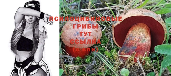 гидра Михайловка