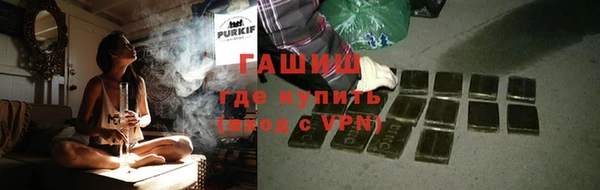 ПСИЛОЦИБИНОВЫЕ ГРИБЫ Михайлов
