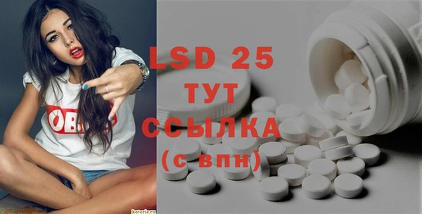 гидра Михайловка