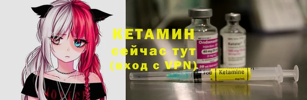 ПСИЛОЦИБИНОВЫЕ ГРИБЫ Михайлов