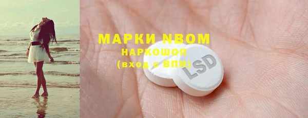 гидра Михайловка