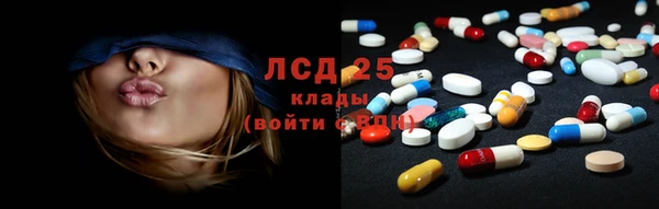 гидра Михайловка