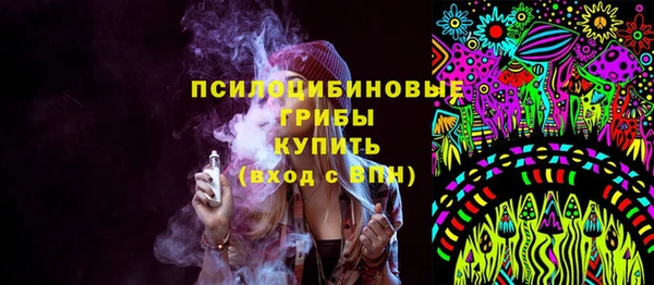 ПСИЛОЦИБИНОВЫЕ ГРИБЫ Михайлов