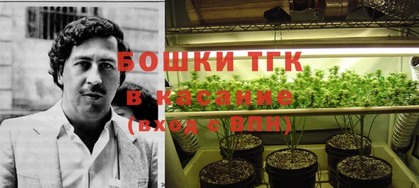 гидра Михайловка