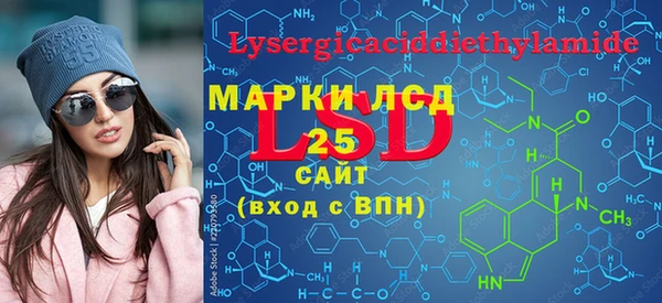 ПСИЛОЦИБИНОВЫЕ ГРИБЫ Михайлов