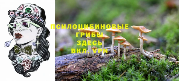 ПСИЛОЦИБИНОВЫЕ ГРИБЫ Михайлов