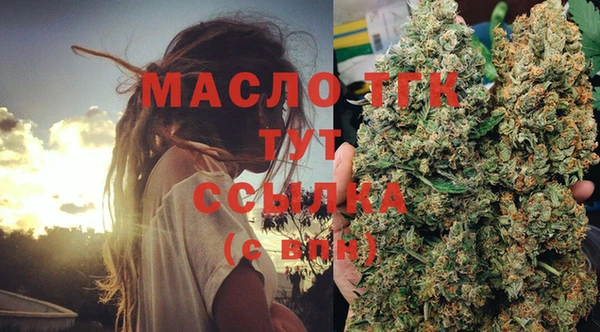 гидра Михайловка