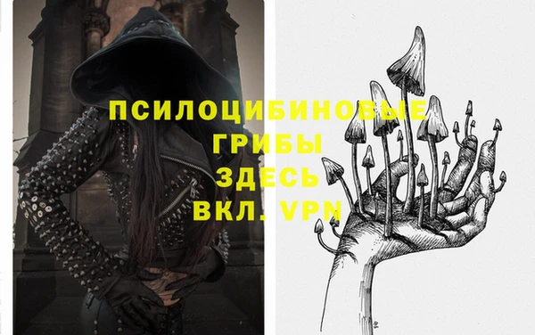 ПСИЛОЦИБИНОВЫЕ ГРИБЫ Михайлов