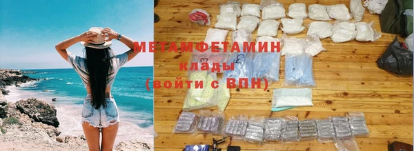 гидра Михайловка
