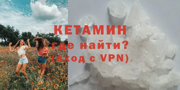 гидра Михайловка