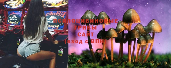 ГАЛЛЮЦИНОГЕННЫЕ ГРИБЫ Печоры