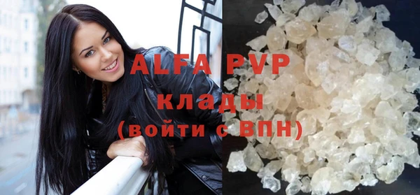 гидра Михайловка
