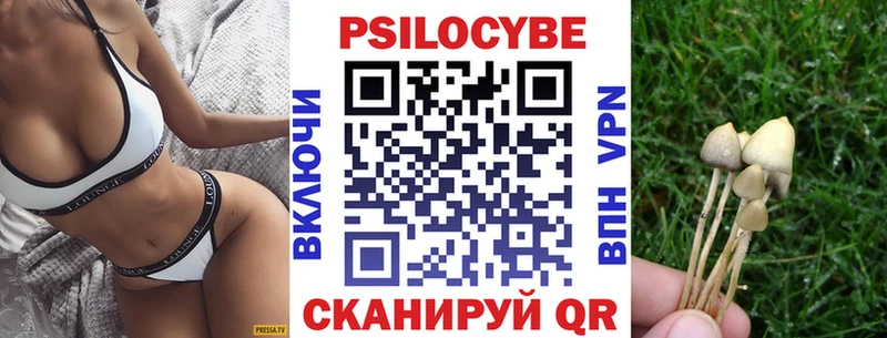 Псилоцибиновые грибы Cubensis  Светлоград 